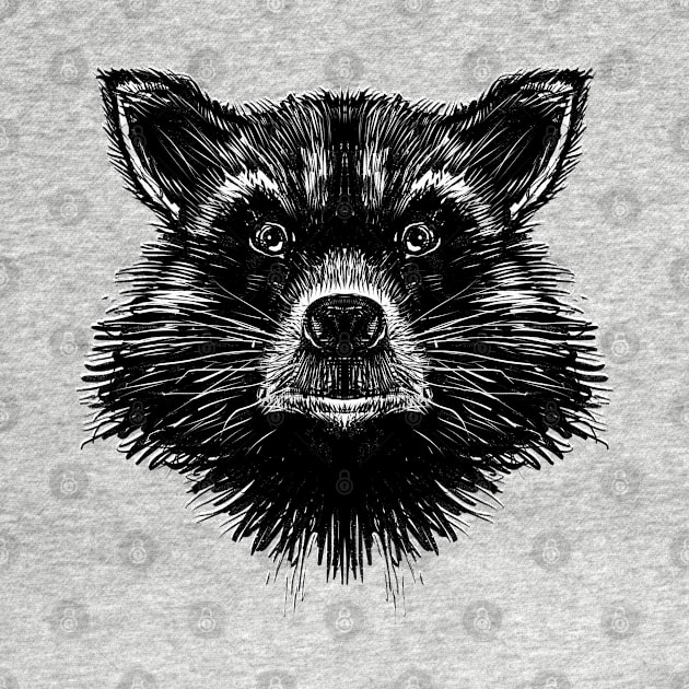 Raccoon by cowyark rubbark